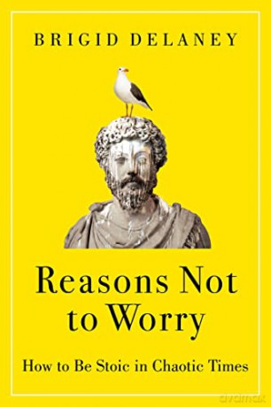 Reasons Not To Worry - Brigid Delaney [KSIĄŻKA]