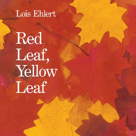 Red Leaf Yellow Leaf Pb - Ehlert Lois [KSIĄŻKA]