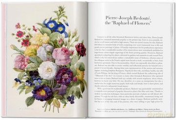 Redoute Roses - Taschen [KSIĄŻKA]