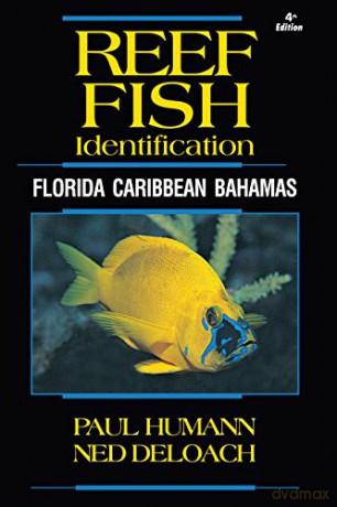 Reef Fish Id Florida Carib.4t - Humann P [KSIĄŻKA]