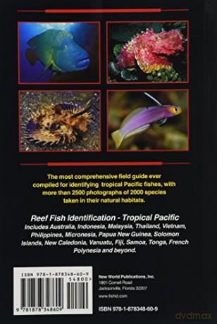Reef Fish Identification - Paul Humann [KSIĄŻKA]