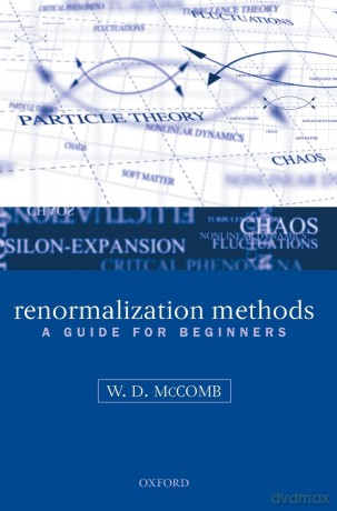 Renormalization Methodsgui Beg C - Mccomb [KSIĄŻKA]