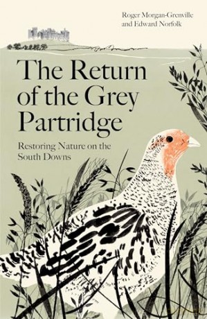 Return Of The Grey Partridge - R Morgan-Grenville [KSIĄŻKA]