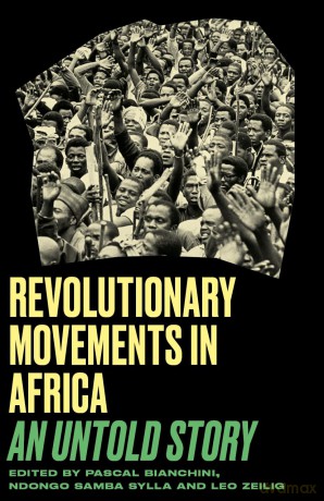 Revolutionary Movements in Africa: An Untold Story (Black Critique) - Bianchini Et Al [KSIĄŻKA]