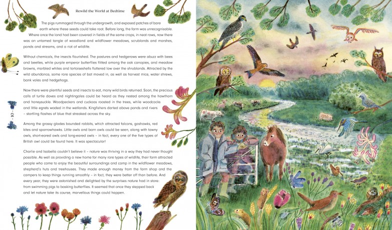 Rewild The World At Bedtime - Emily Hawkins [KSIĄŻKA]