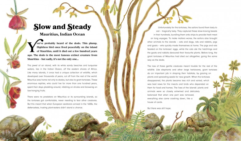 Rewild The World At Bedtime - Emily Hawkins [KSIĄŻKA]