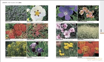 Rhs Gardening Through The Year - Ian Spence [KSIĄŻKA]