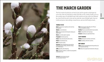 Rhs Gardening Through The Year - Ian Spence [KSIĄŻKA]