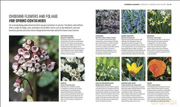 RHS How to Garden When You're New to Gardening: The Basics for Absolute Beginners - Dk [KSIĄŻKA]