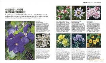 RHS How to Garden When You're New to Gardening: The Basics for Absolute Beginners - Dk [KSIĄŻKA]