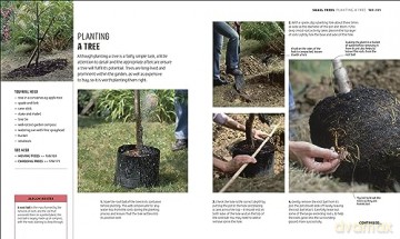 RHS How to Garden When You're New to Gardening: The Basics for Absolute Beginners - Dk [KSIĄŻKA]