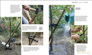 RHS How to Garden When You're New to Gardening: The Basics for Absolute Beginners - Dk [KSIĄŻKA]