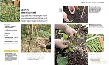 RHS How to Garden When You're New to Gardening: The Basics for Absolute Beginners - Dk [KSIĄŻKA]