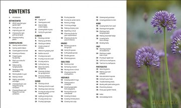 RHS How to Garden When You're New to Gardening: The Basics for Absolute Beginners - Dk [KSIĄŻKA]