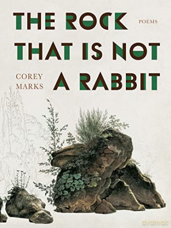 Rock That Is Not A Rabbit [KSIĄŻKA]