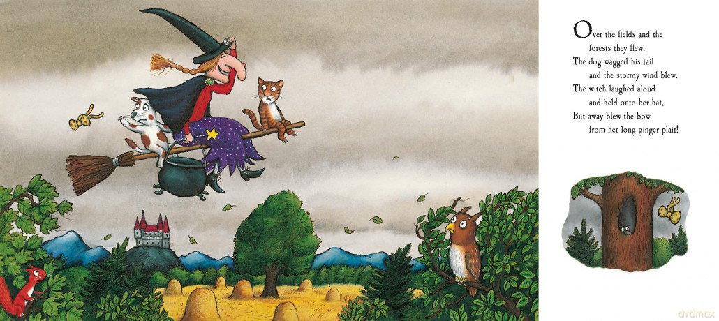 Room On The Broom - Julia Donaldson [KSIĄŻKA]
