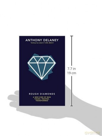 Rough Diamonds - Anthony Delaney [KSIĄŻKA]
