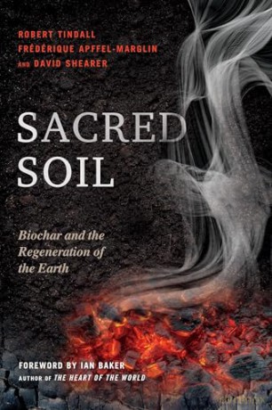 Sacred Soil - Robert Tindall [KSIĄŻKA]