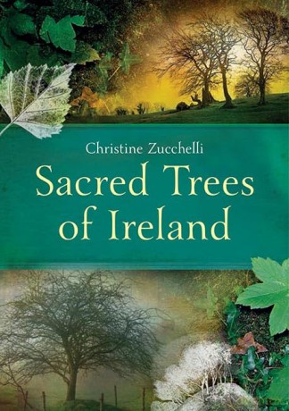 Sacred Trees Of Ireland - Christine Zucchelli [KSIĄŻKA]