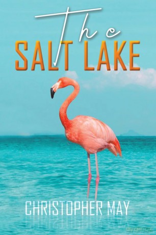 Salt Lake - Christopher May [KSIĄŻKA]