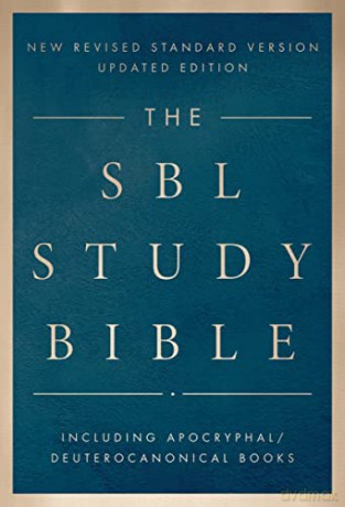 Sbl Study Bible The - Society Of Biblical [KSIĄŻKA]