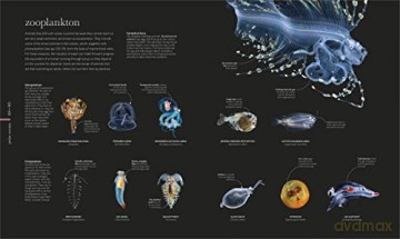 Science Of The Ocean - Dk [KSIĄŻKA]