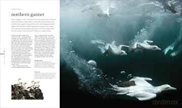 Science Of The Ocean - Dk [KSIĄŻKA]