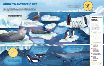Scientists In The Wild Antarctica - Katharine Hendry [KSIĄŻKA]