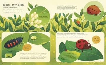 Secret Life Of Bugs - Moira Butterfield [KSIĄŻKA]