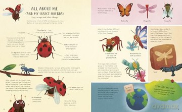 Secret Life Of Bugs - Moira Butterfield [KSIĄŻKA]