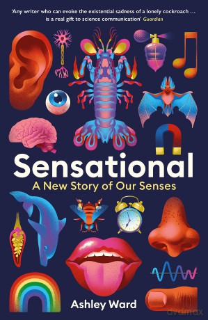 Sensational - Ashley Ward [KSIĄŻKA]