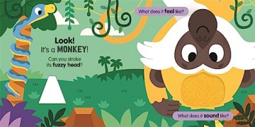 Sensory Safari [KSIĄŻKA]