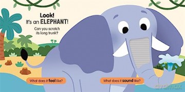 Sensory Safari [KSIĄŻKA]