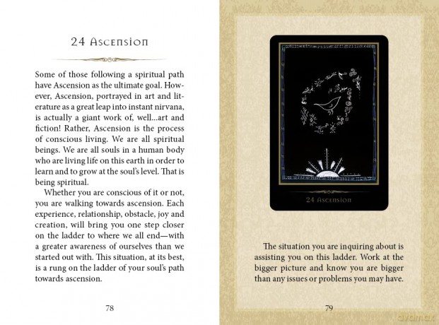 Shamanic Healing Oracle Cards - Michellea Motuzas [KSIĄŻKA]