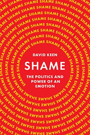 Shame - David Keen [KSIĄŻKA]