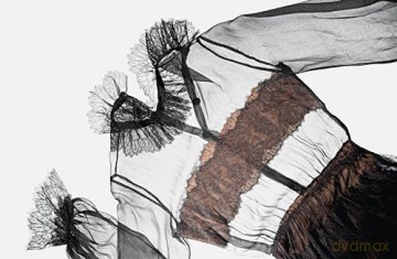 Sheer Yves Saint Laurent - Shazia Boucher [KSIĄŻKA]