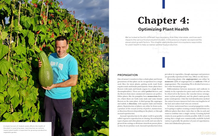 Simplify Vegetable Gardening - Tony O'neill [KSIĄŻKA]