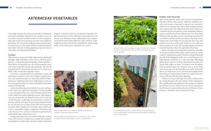 Simplify Vegetable Gardening - Tony O'neill [KSIĄŻKA]