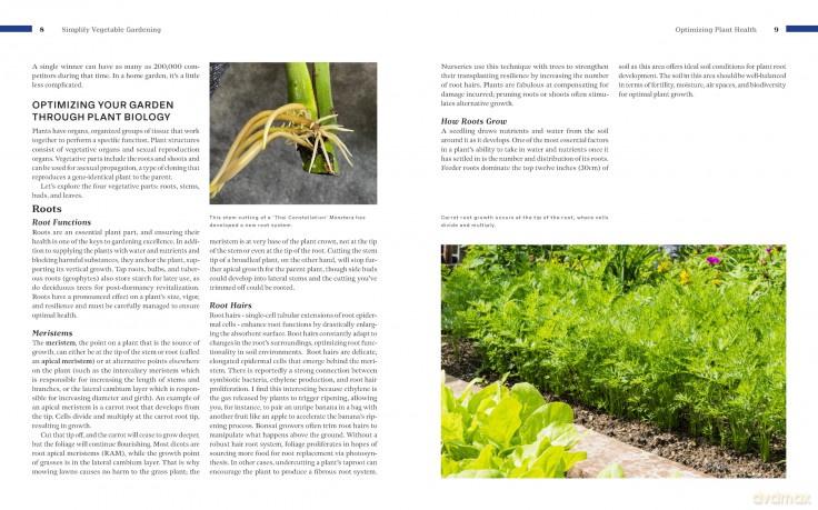 Simplify Vegetable Gardening - Tony O'neill [KSIĄŻKA]