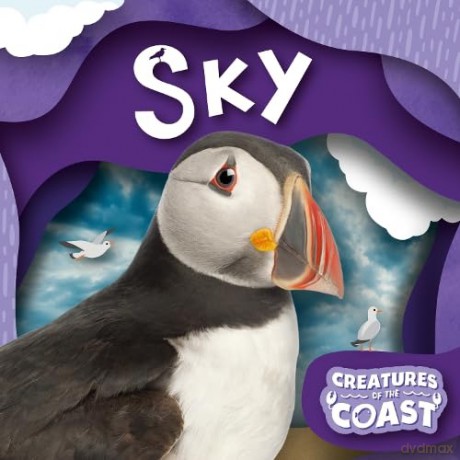 Sky - Robin Twiddy [KSIĄŻKA]