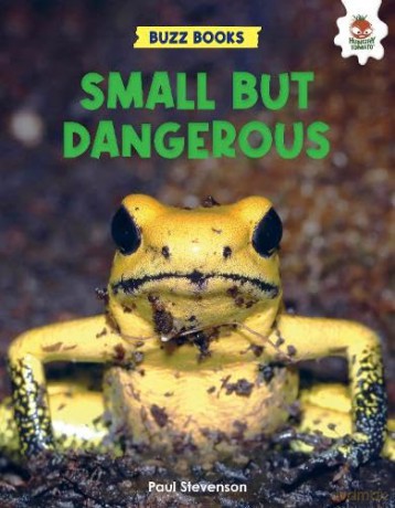 Small But Dangerous - Paul Stevenson [KSIĄŻKA]