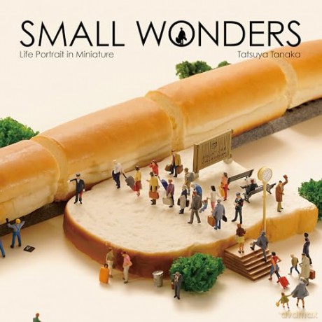 Small Wonders - Tatsuya Tanaka [KSIĄŻKA]