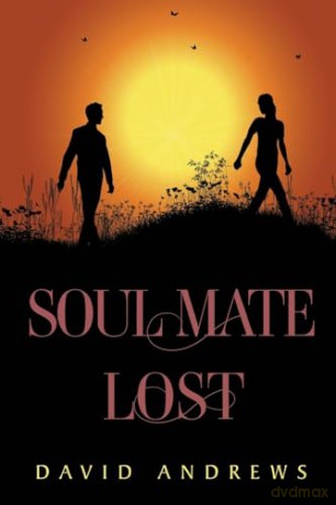 Soul Mate Lost - David Andrews [KSIĄŻKA]