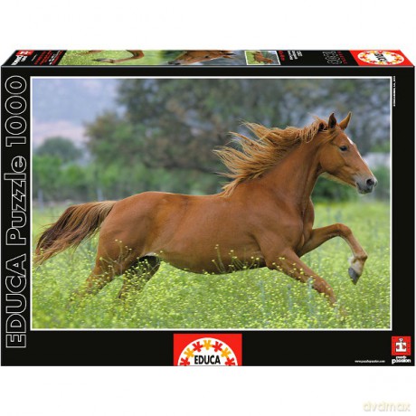 Educa 1000 El. Galop [PUZZLE]