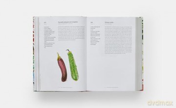 Spain The Cookbook - Simone Ortega [KSIĄŻKA]