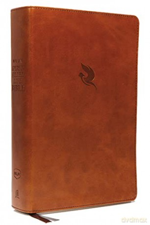 Spiritfilled Life Bible - Jack Hayford [KSIĄŻKA]