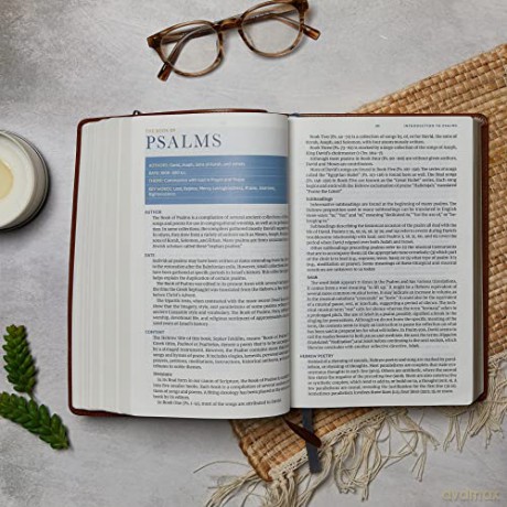 Spiritfilled Life Bible - Jack Hayford [KSIĄŻKA]