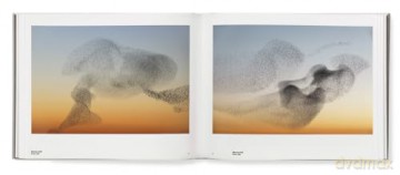 Sren Solkr Starling - Soren Solkaer [KSIĄŻKA]