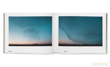 Sren Solkr Starling - Soren Solkaer [KSIĄŻKA]
