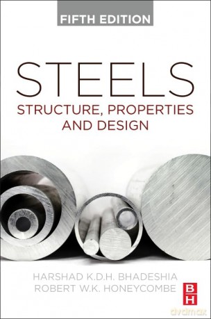 Steels [KSIĄŻKA]